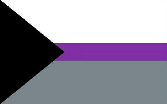 Demisexual Flag